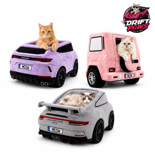 Luxury Car-Themed Cat Bed